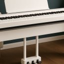 주식회사 바이엘 | [피아노 일기🎹] 내돈내산 성인 피아노 4개월차 후기 (광고x)