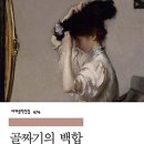 2641 티스토리