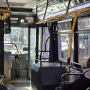 부산여자대학교 한국차박물관 | [뉴욕 여행] 3일차 - 센트럴파크와 자연사 박물관 입장료, 섹션, 후기