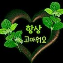 힐링노래짱 이미지