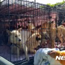 관청농장 이미지