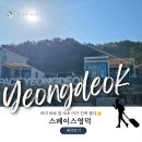 스페이스 아웃(space out) | 영덕 카라반 감성 숙소, 스페이스영덕 후기｜영덕 캠핑장 + 아이와 가볼만 한 곳 추천