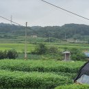 월곡리 마을회관 이미지