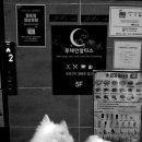 몽꾸르펫 네이버블로그