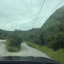 로로포레 이미지