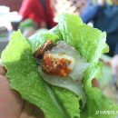 바다정원 이미지