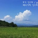 솔향블루베리농원