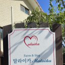 호수펜션민박 이미지