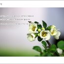 [김수환 추기경의 묵상 달력] 4월 18일 이미지