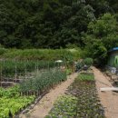 홀인원가든 이미지