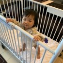 8개월아기 성장발달 : 완모아기 / 이유식거부 / 둘째아기 / 문센