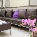 민비뇨기과의원 이미지