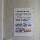 나무향기펜션2 이미지