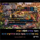 T0024 이미지