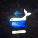 이천목욕탕 | [🚐이천 테르메덴 카라반] 생애 첫 카라반 후기｜내부, 단점, 겨울 숙박 팁까지 정리