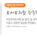 티스토리 티스토리