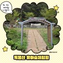 푸른숲유치원 | 가을 거제 나들이 추천｜아이랑 독봉산 유아숲체험원 자연 속 신체활동 가득!