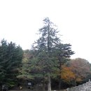 (주)새재산업 이미지