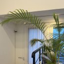 동홍동5 이미지