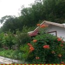 본동민박 이미지