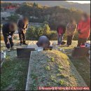 평화장묘