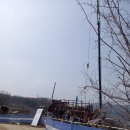 목련수선