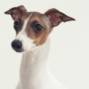 가가스튜디오 이미지