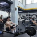 크로스핏 미사 이미지