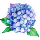 행복을줄개 이미지