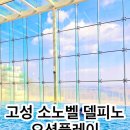 델피노 사우나 | 고성 소노벨 델피노 오션플레이 워터파크·사우나 완전 리뷰 정보｜실내시설·샤워실·키즈존·아쿠아...