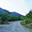 용소골민박 이미지