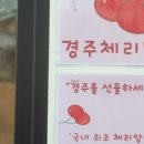 라온타운경주 이미지