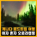 화이트호스 - 수성구 지범로 191 | 캐나다를 여자 혼자 여행? 오로라 로드트립 화이트호스