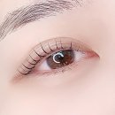 니어스 아이래쉬