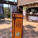 제주허브동산 | 제주 허브동산 후기 | 족욕+야경 꿀팁까지 (표선 관광지, 입장료 정보)
