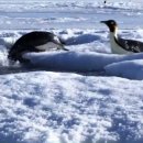 이카루스 팩토리 이미지