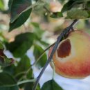 장수전력 이미지