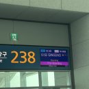 843 | 인천 칭다오 대한항공 KE843 &amp; KE842 좌석 특별기내식 후기