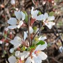 부천호수식물원 수피아 이미지