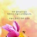 8월9일 간추린 뉴스 이미지