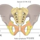 나 친구랑 프랑스 가정식 먹으러 식당 갔는데 방송사에서 인터뷰 따갔단 말이야 ㅋㅋㅋㅋㅋ 내친구 인터뷰 했는데 이미지