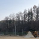 새움정