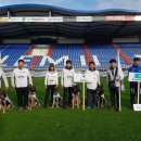 조은애견 이미지