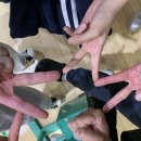 개 태우는 오빠 이미지