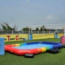 퍼피타운커피 | 퍼피타운커피, 파주 애견카페 인조잔디 운동장과 강아지 수영장