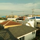 폭낭 올레집 이미지