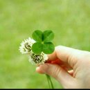 전통놀이지도사 1급 자격과정 이미지