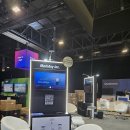 애니얼라인 이미지