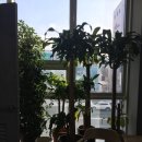 동그리 당구클럽 이미지