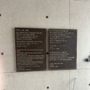 세계조개박물관 | 제주 서쪽 아이와 가볼 만한 곳, 세계조가비박물관 내돈내산 방문 후기